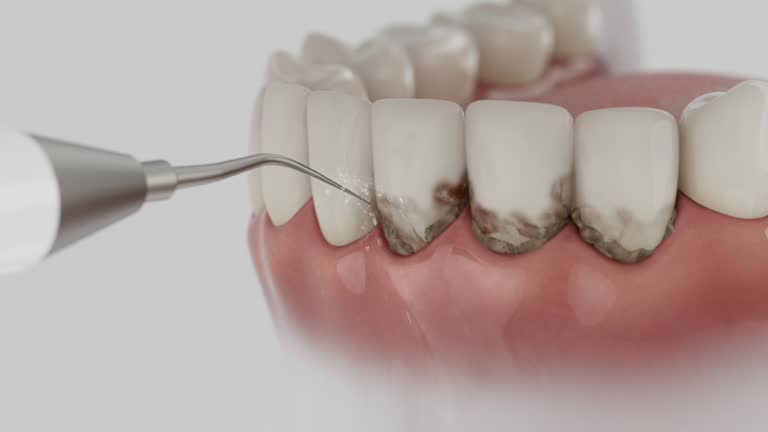 Reliable Dental contractor in Cape May County County, NJ by Dentist Open Now